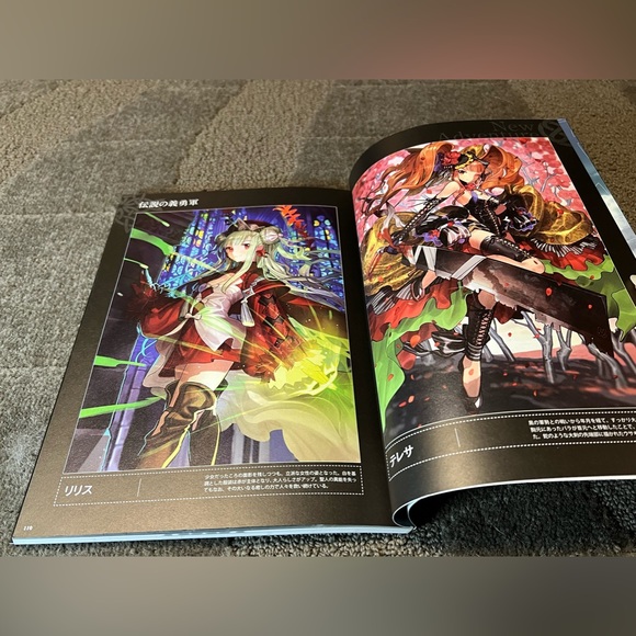Chain Chronicle Visual & Story Book road to chainchronicle3 Japanese Anime Art - Picture 14 of 16